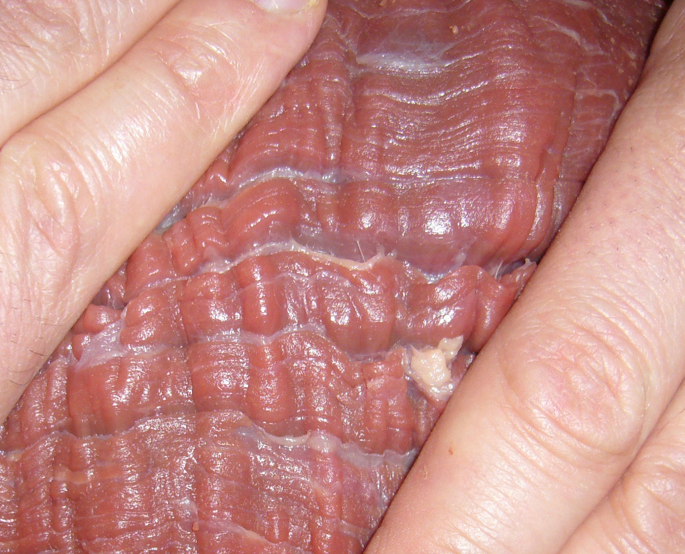 shearing a piece of meat