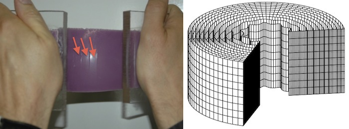 When a block of silicone is bent severely, tiny creases appear on its surface (left). <br>This is very well captured by an analytical stability analysis (right).